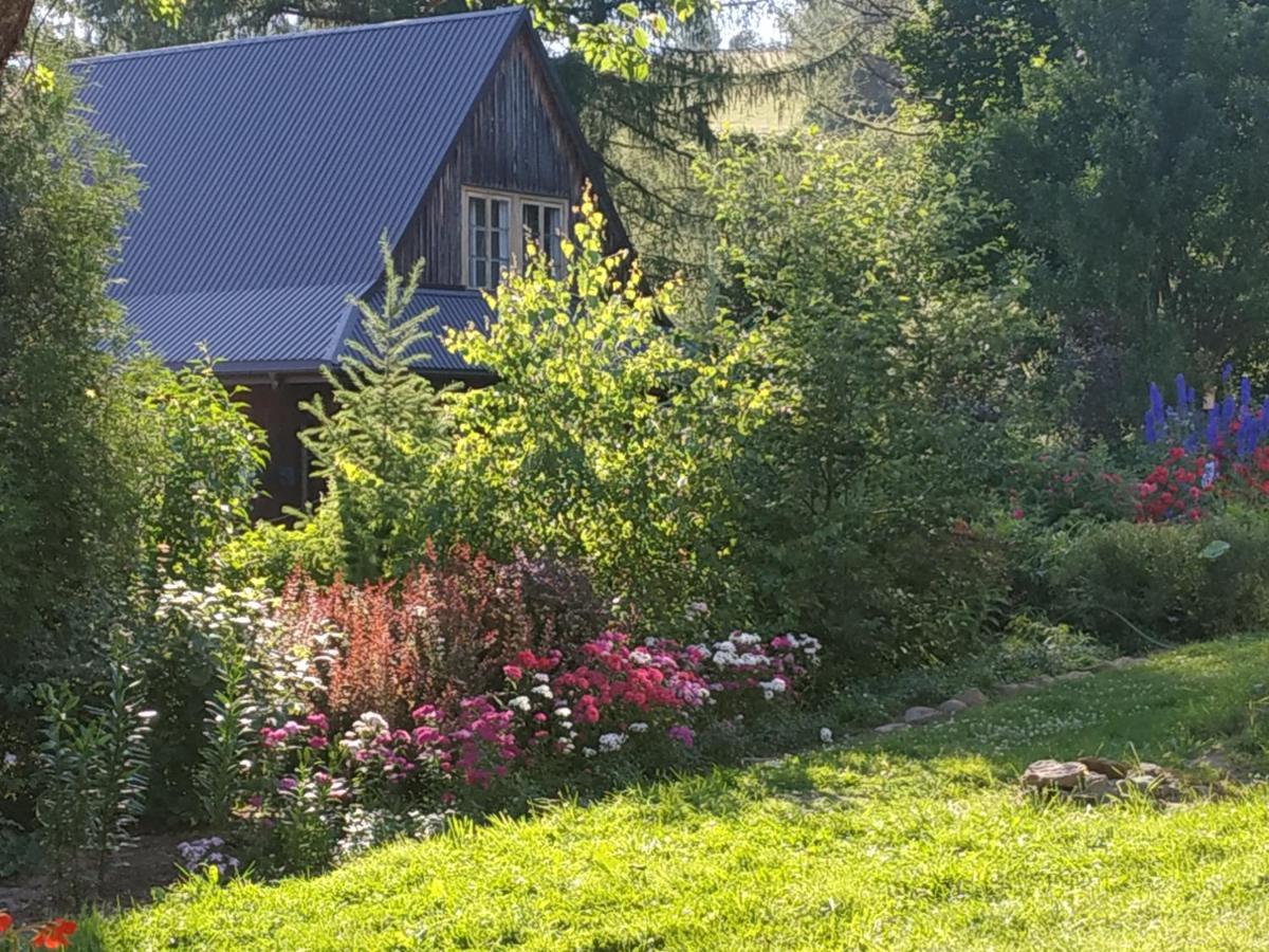 Villa Sowinka Lutowiska Exterior foto
