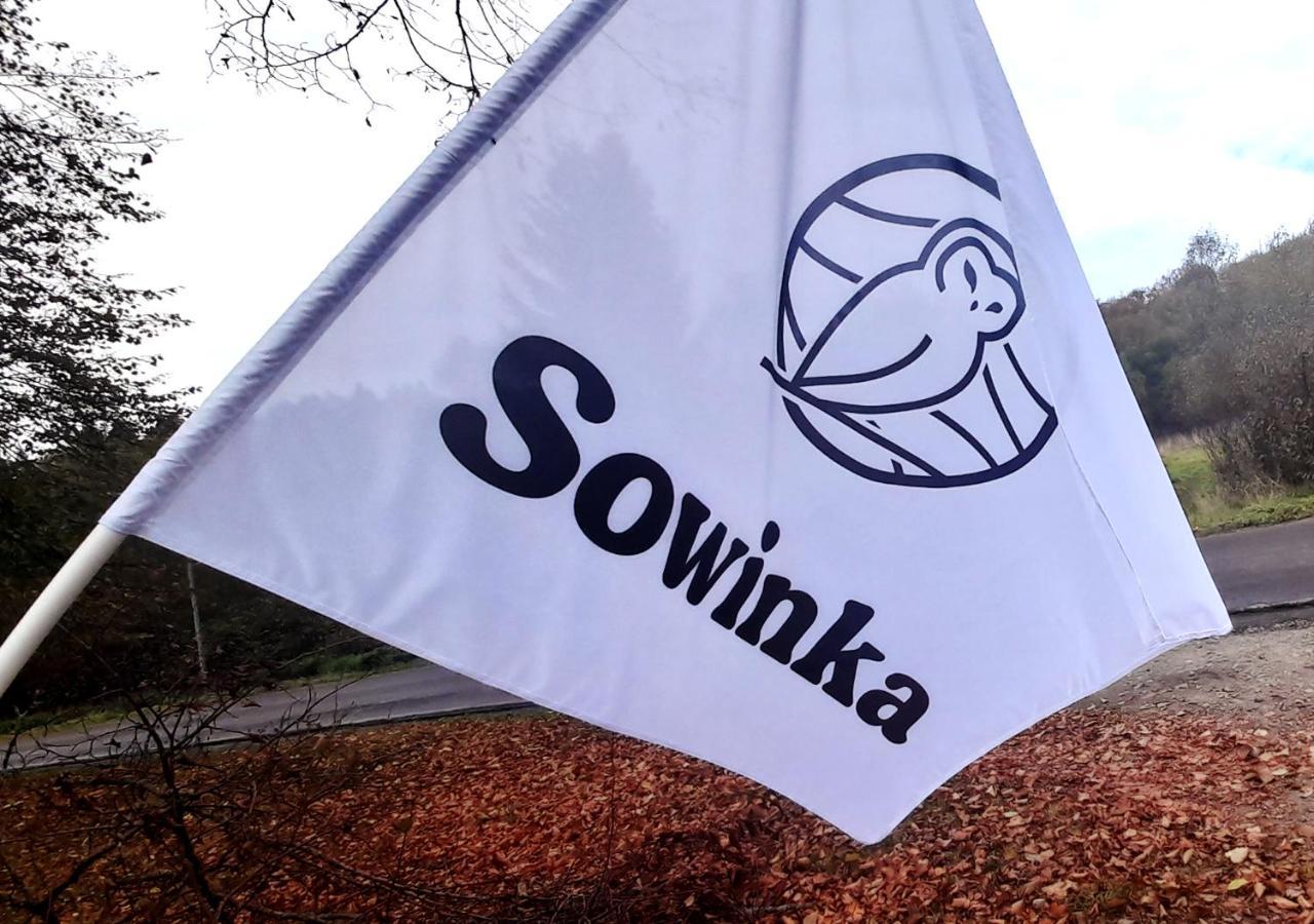 Villa Sowinka Lutowiska Exterior foto