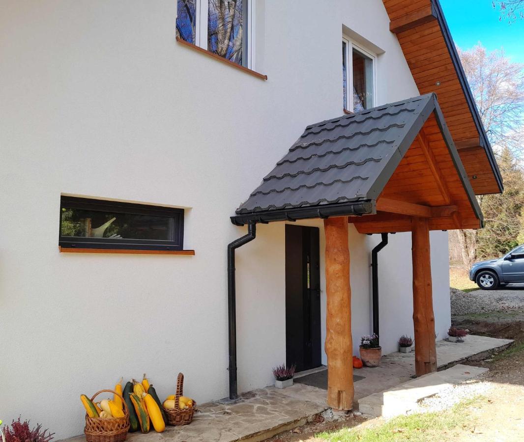 Villa Sowinka Lutowiska Exterior foto